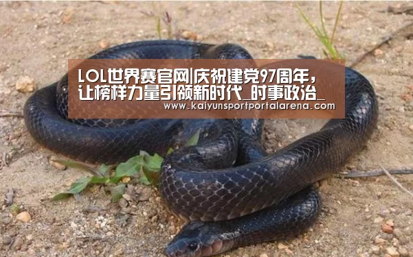 全球总决赛官网