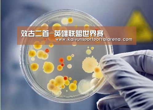 全球总决赛官网